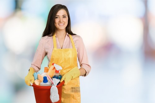 Professional carpet cleaning service with responsible waste handling